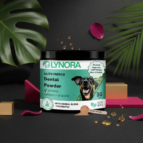 LYNORA | POLVERE DENTALE