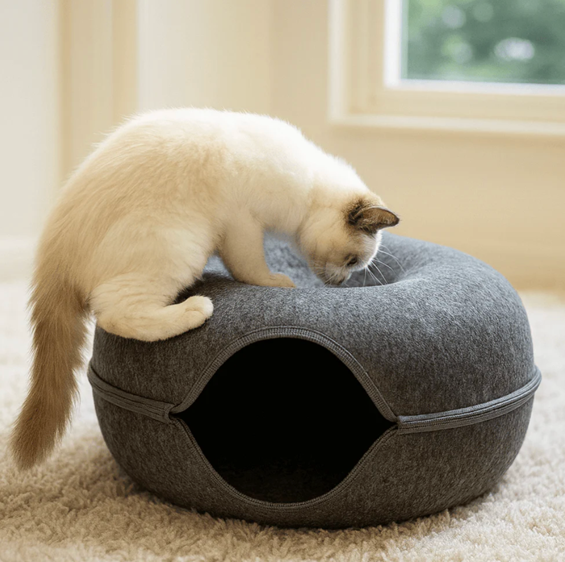 LYNORA - Tunnel per il tuo gattino