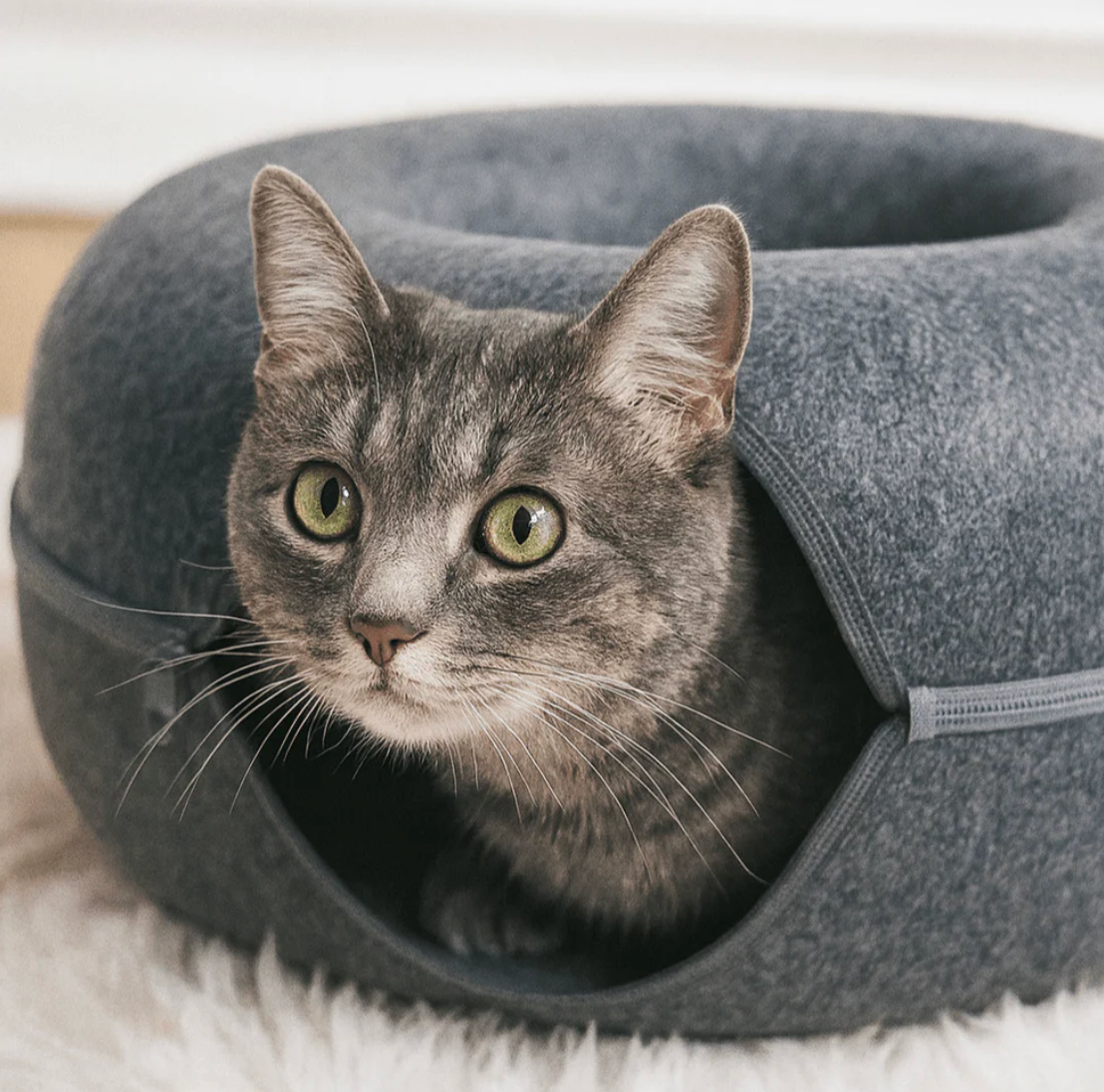 LYNORA - Tunnel per il tuo gattino