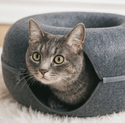 LYNORA - Tunnel per il tuo gattino