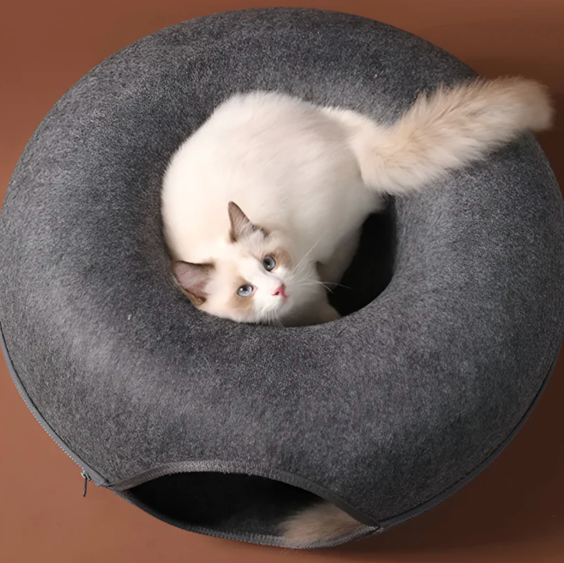 LYNORA - Tunnel per il tuo gattino
